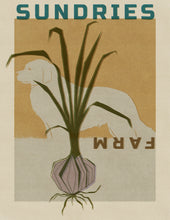 Load image into Gallery viewer, A Year's Supply of Gourmet Culinary Garlic ~ Presale