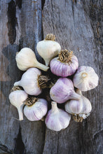 Load image into Gallery viewer, Mixed Hardneck Garlic ~ Culinary Grade ~ Presale