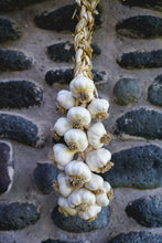 Load image into Gallery viewer, Nootka Rose ~ Seed Grade Garlic ~ Softneck ~ Presale
