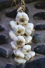 Load image into Gallery viewer, Inchelium Red ~ Seed Grade Garlic ~ Softneck ~ Presale