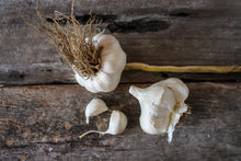 Load image into Gallery viewer, Inchelium Red ~ Seed Grade Garlic ~ Softneck ~ Presale