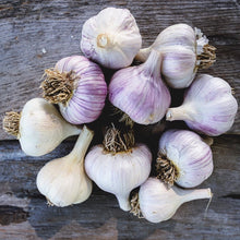 Load image into Gallery viewer, Mixed Hardneck Garlic ~ Culinary Grade
