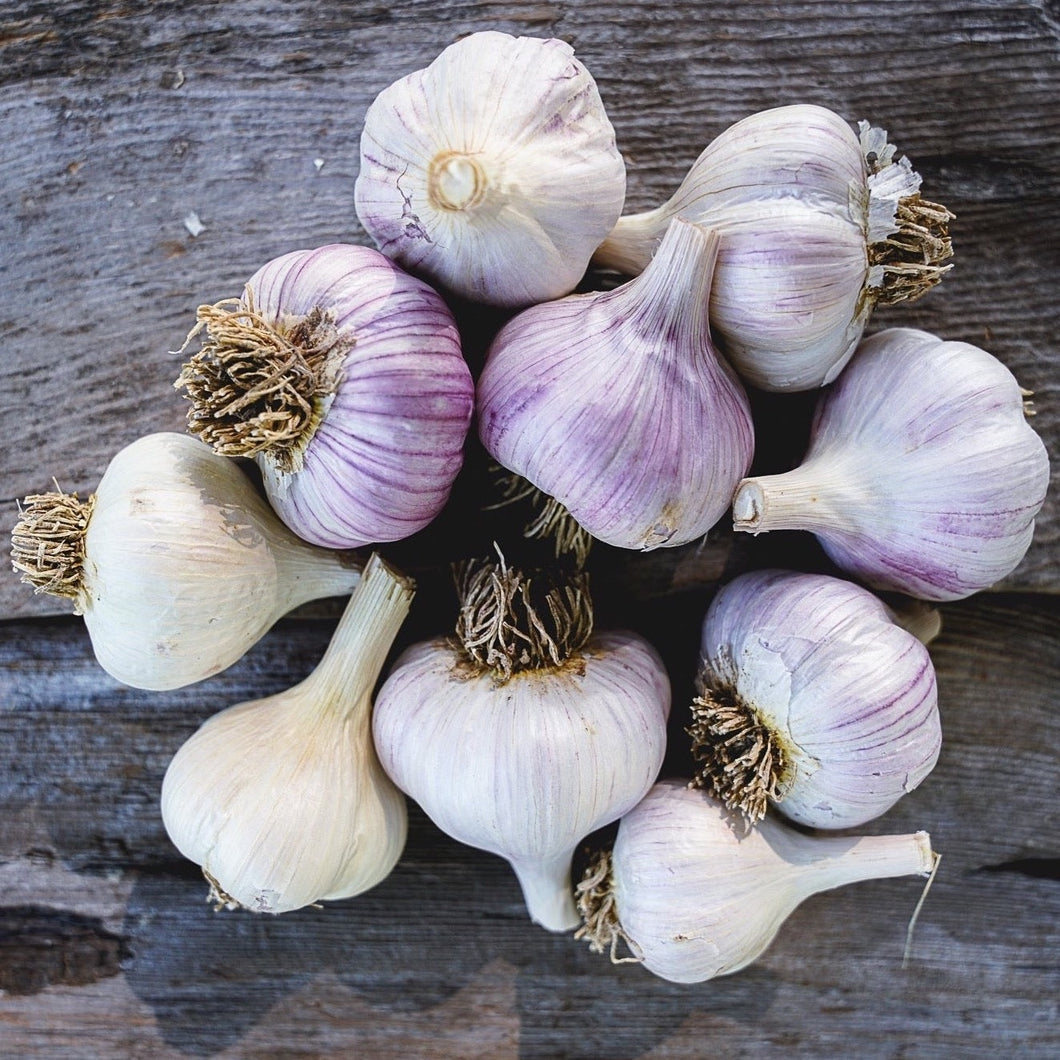 Mixed Hardneck Garlic ~ Culinary Grade