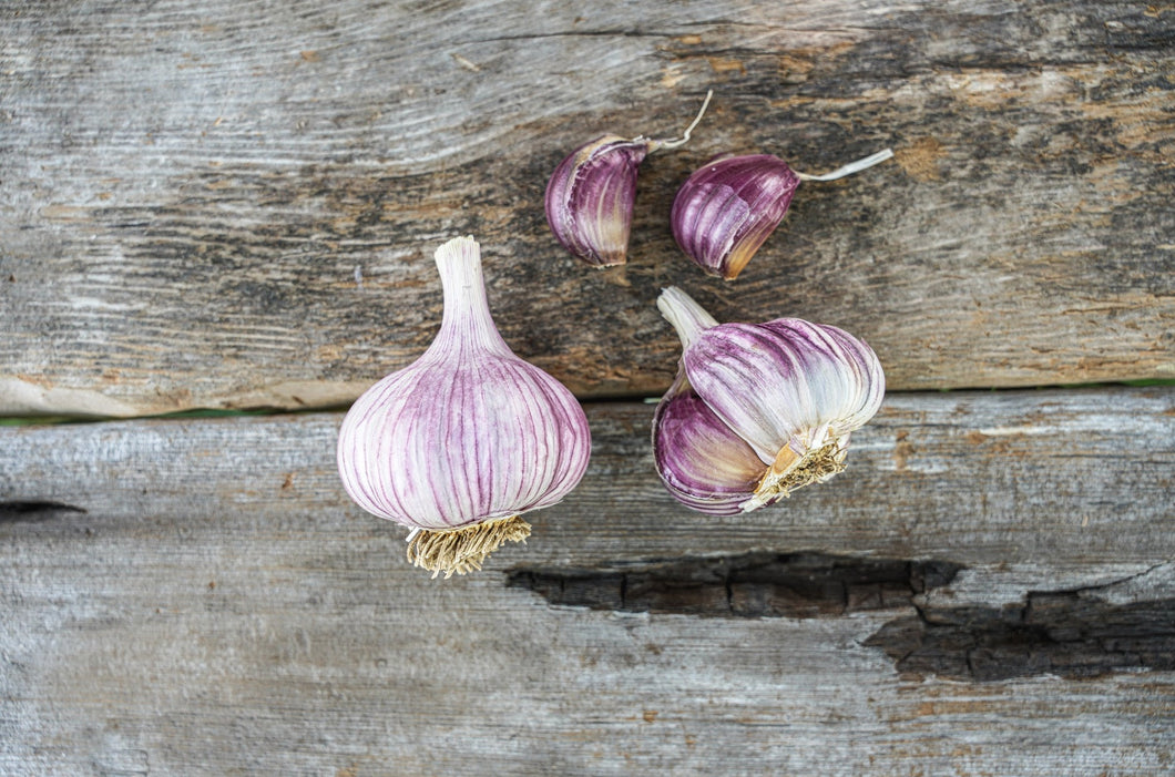 Purple Glazer ~ Seed Grade Garlic ~ Hardneck