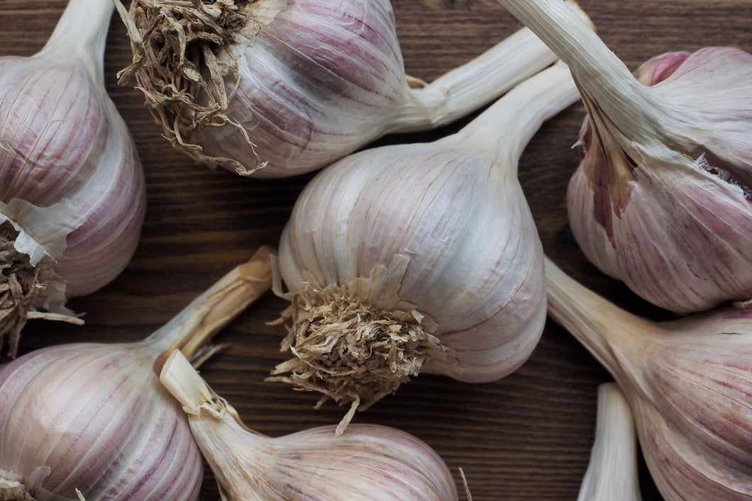 Korean Red ~ Seed Grade Garlic ~ Hardneck