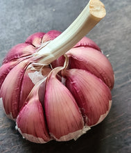 Load image into Gallery viewer, Spanish Roja ~ Seed Grade ~ Hardneck ~ Presale
