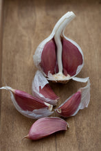 Load image into Gallery viewer, Spanish Roja ~ Seed Grade ~ Hardneck ~ Presale
