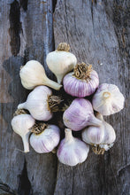 Load image into Gallery viewer, Mixed Hardneck Garlic ~ Culinary Grade
